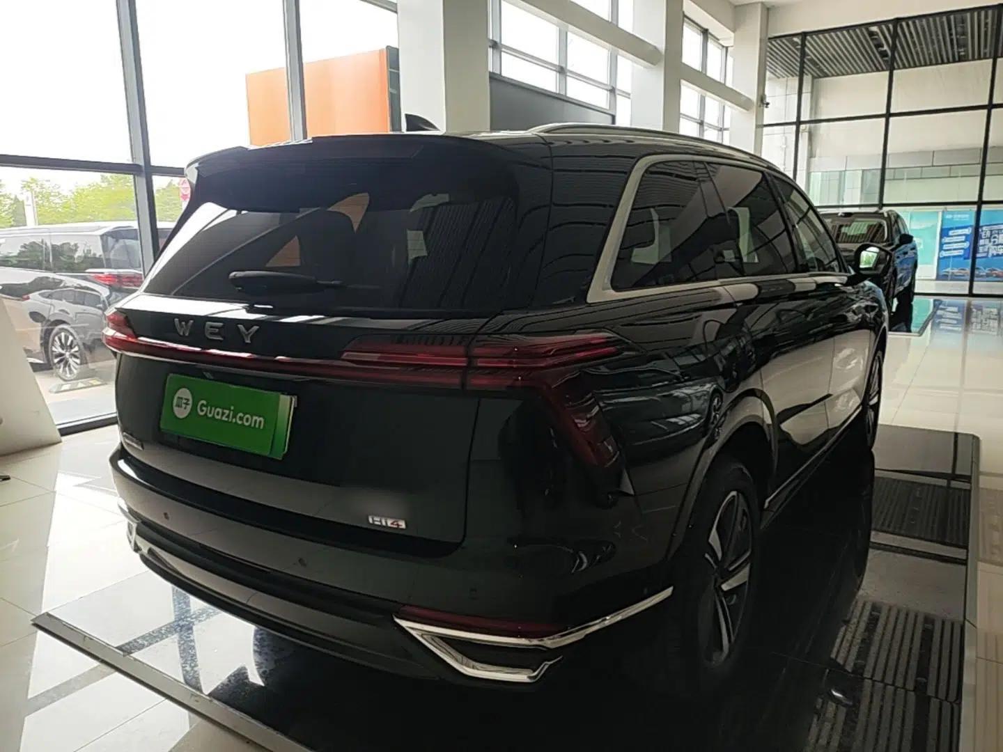 Wey Lanshan 2025 Four-Wheel Drive Max — миниатюра 6