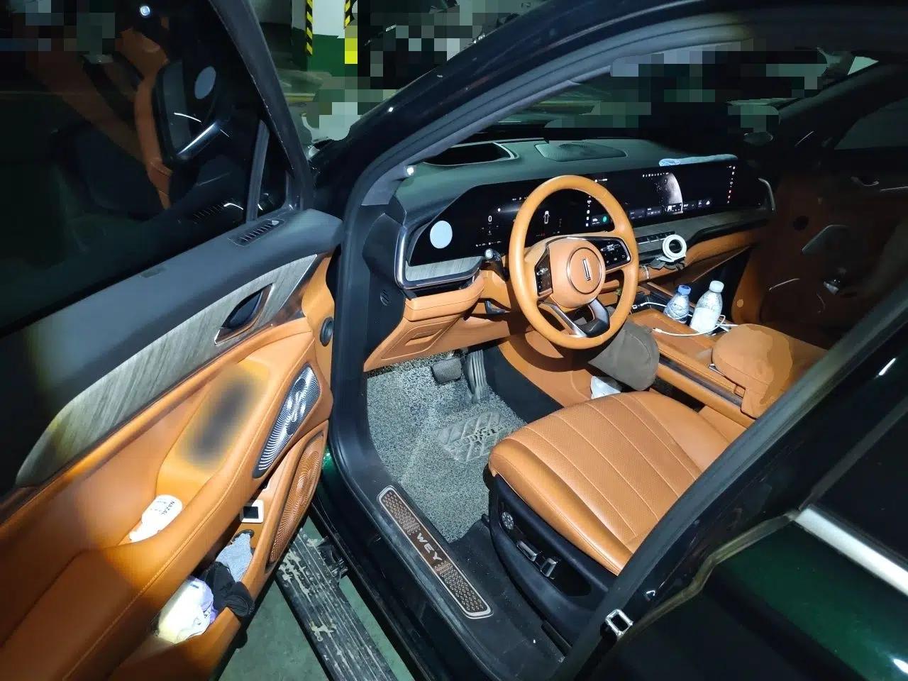 Wey Lanshan 2023 Four-Wheel Drive Ultra-Long Range Version — миниатюра 17