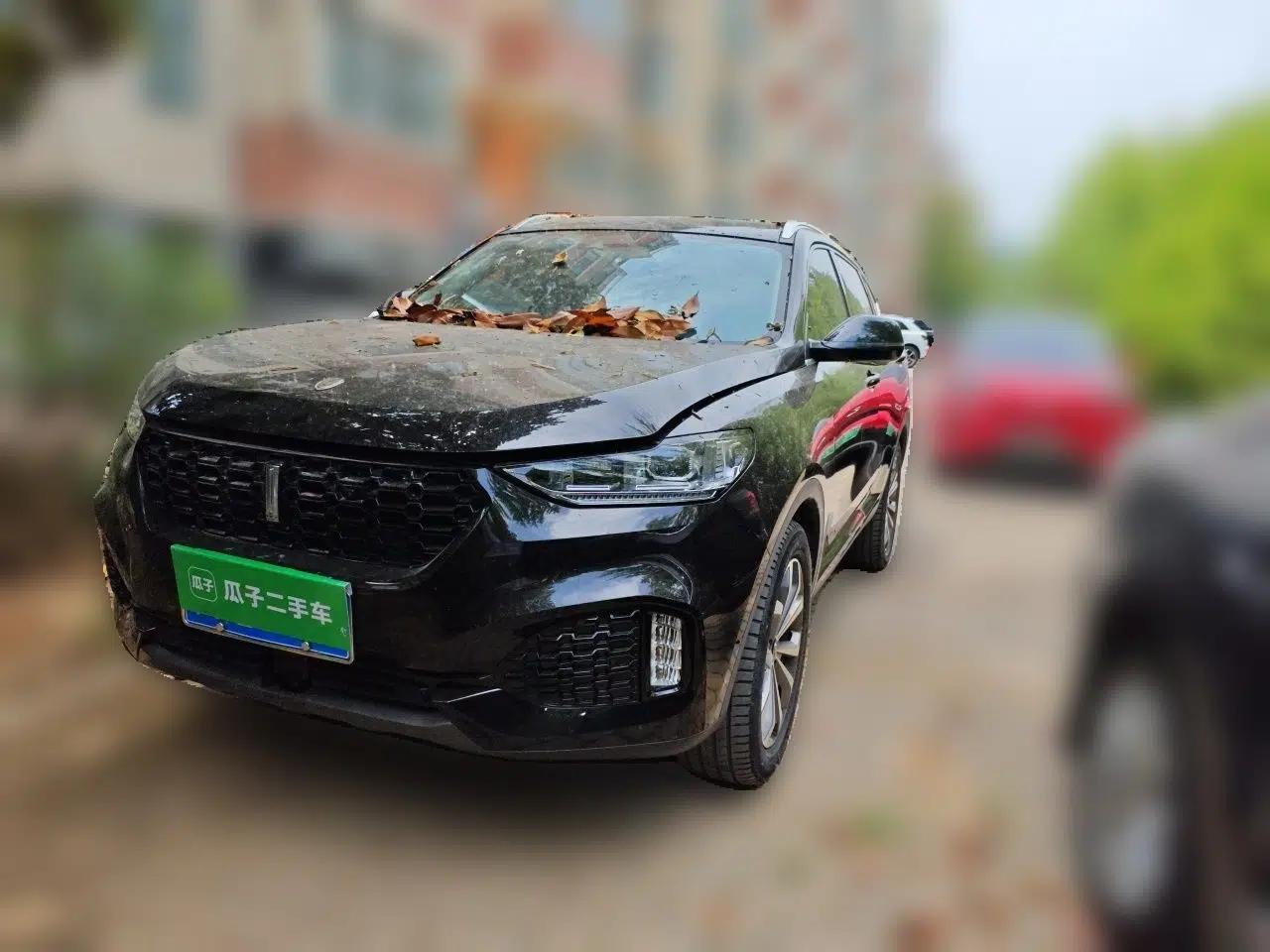 Wey VV6 2019 2.0T Two-Wheel-Drive Ultra-Luxury Version China VI Standard — миниатюра 1
