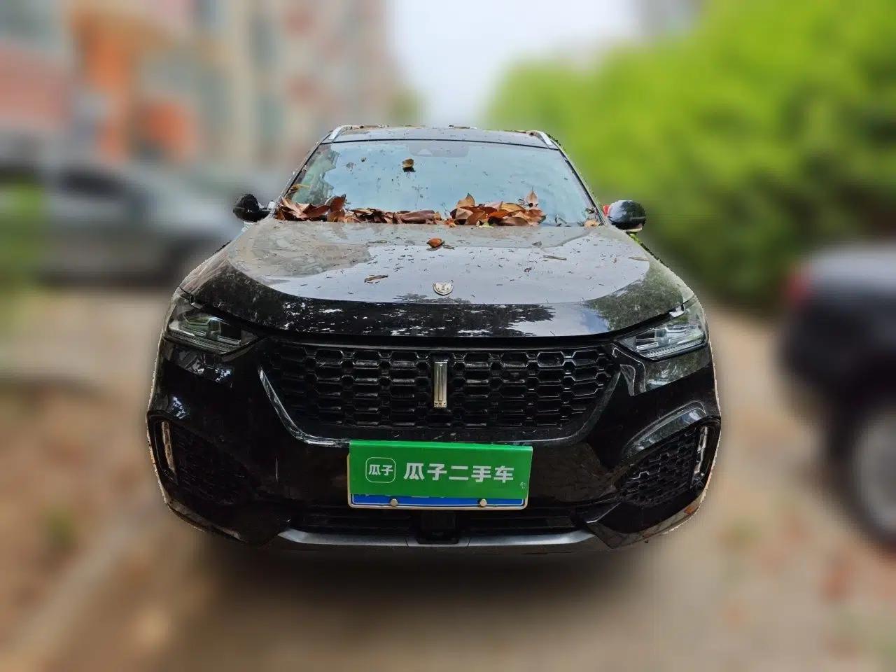 Wey VV6 2019 2.0T Two-Wheel-Drive Ultra-Luxury Version China VI Standard — миниатюра 2