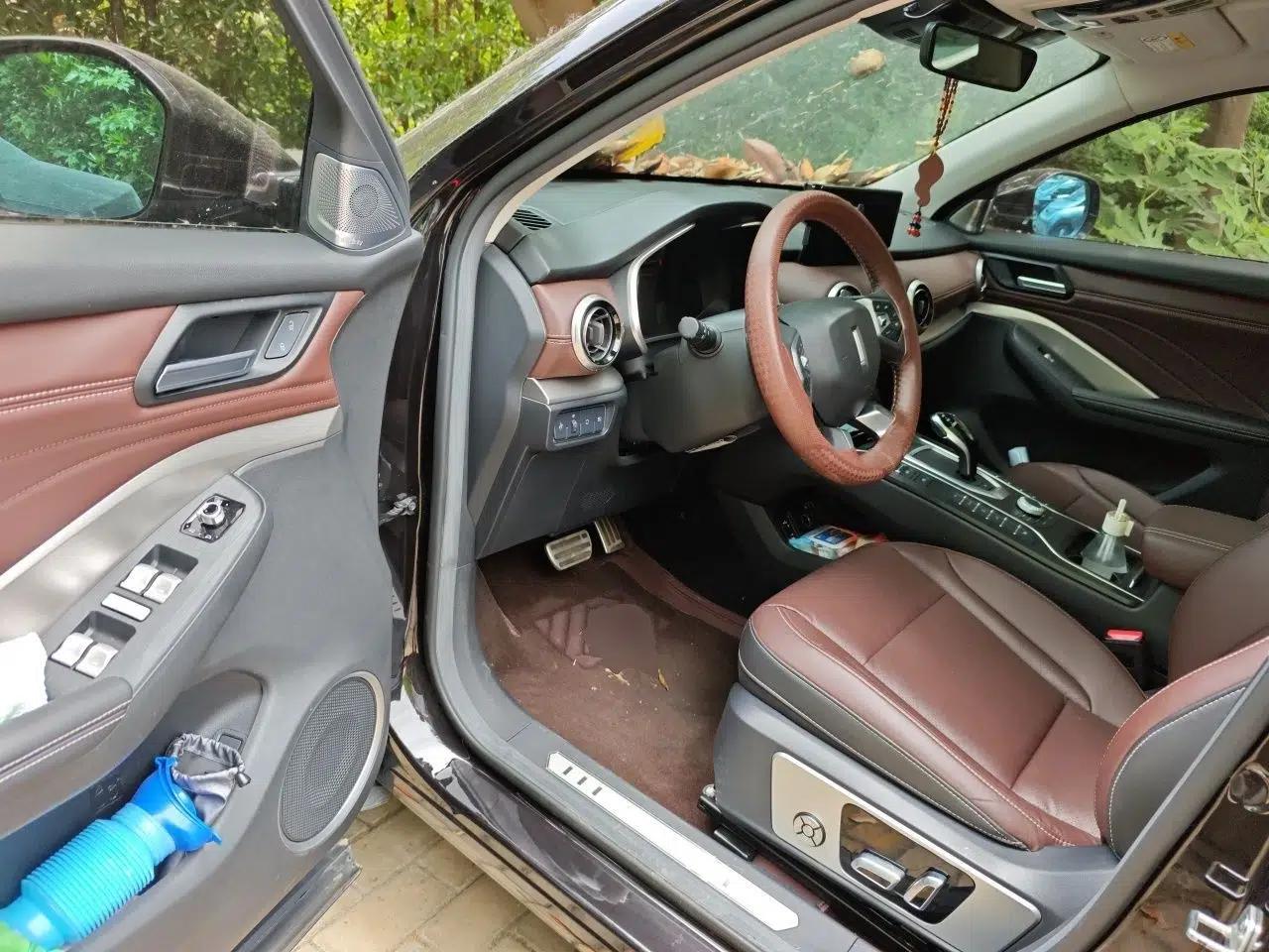 Wey VV6 2019 2.0T Two-Wheel-Drive Ultra-Luxury Version China VI Standard — миниатюра 17