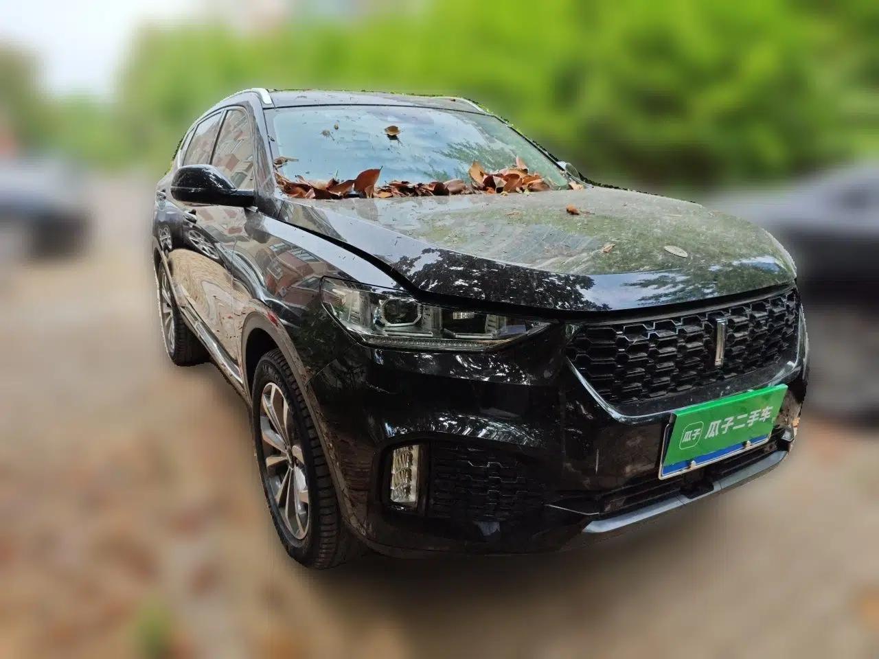 Wey VV6 2019 2.0T Two-Wheel-Drive Ultra-Luxury Version China VI Standard — миниатюра 3