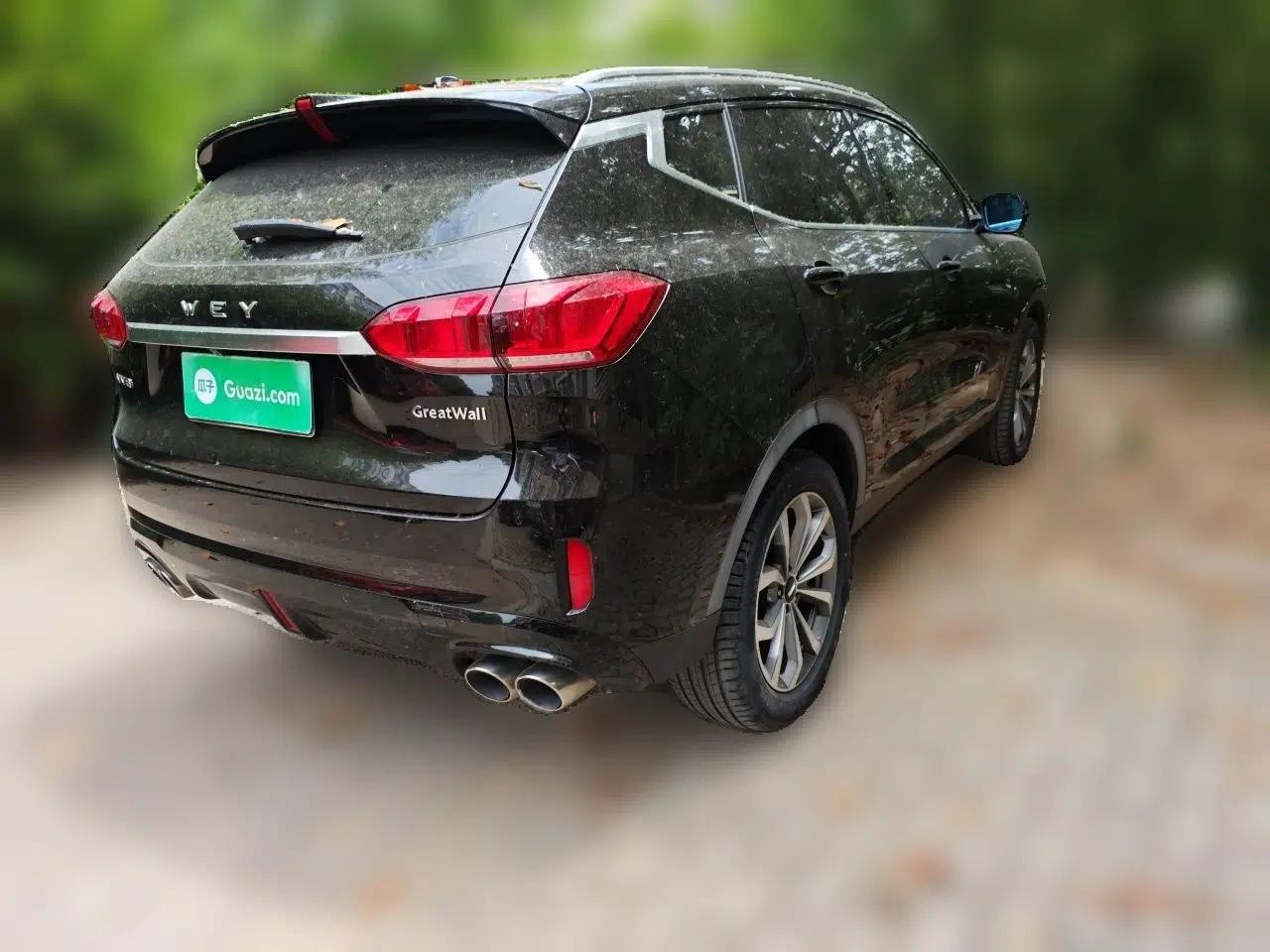 Wey VV6 2019 2.0T Two-Wheel-Drive Ultra-Luxury Version China VI Standard — миниатюра 6