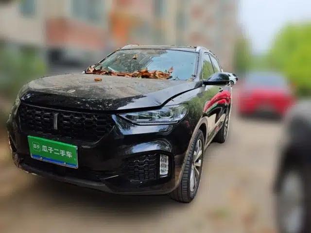 Wey VV6 2019 2.0T Two-Wheel-Drive Ultra-Luxury Version China VI Standard