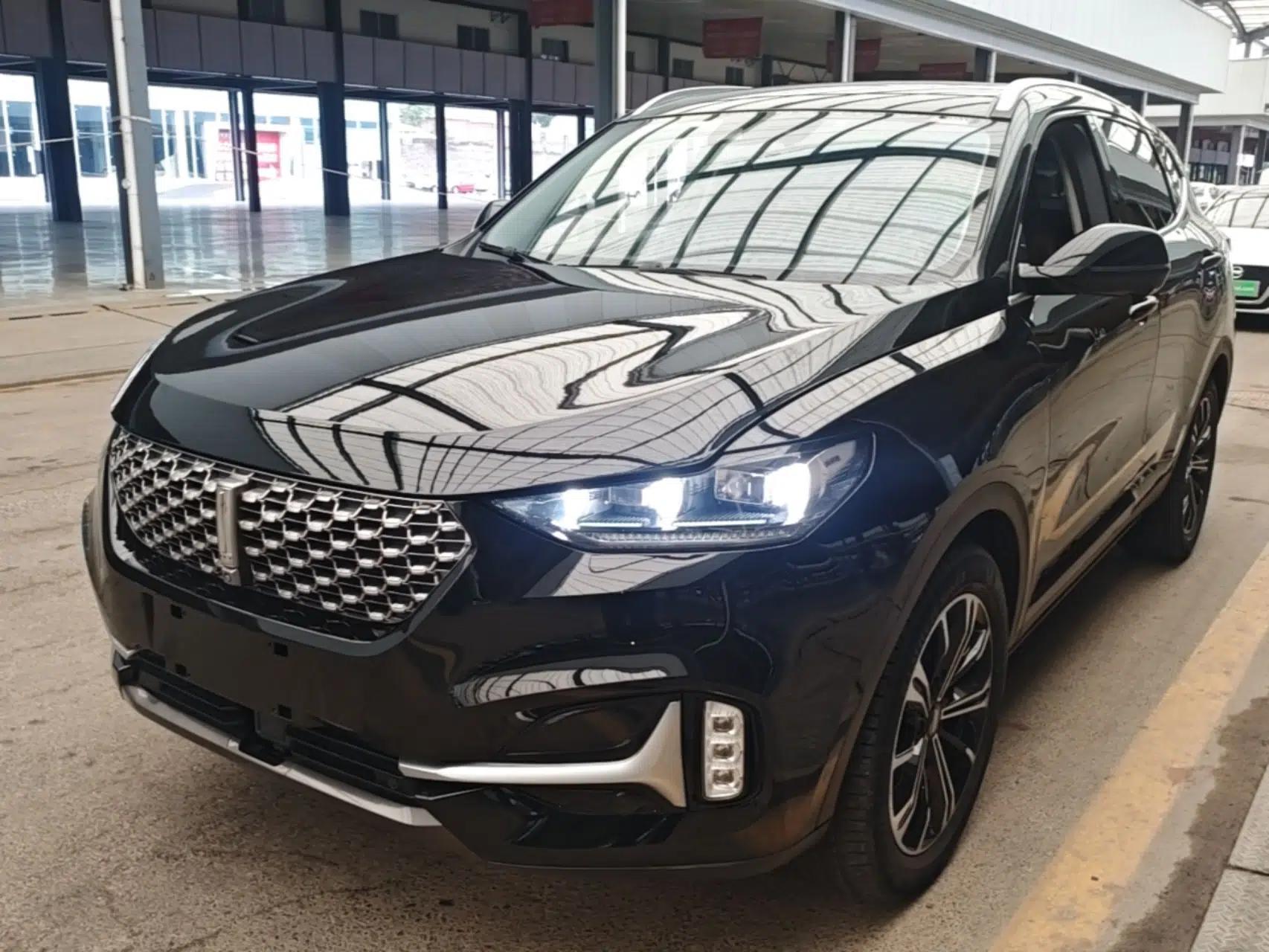 Wey VV6 2021 2.0T All-Wheel Drive Zhiyu+ — миниатюра 1