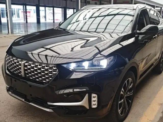 Wey VV6 2021 2.0T All-Wheel Drive Zhiyu+