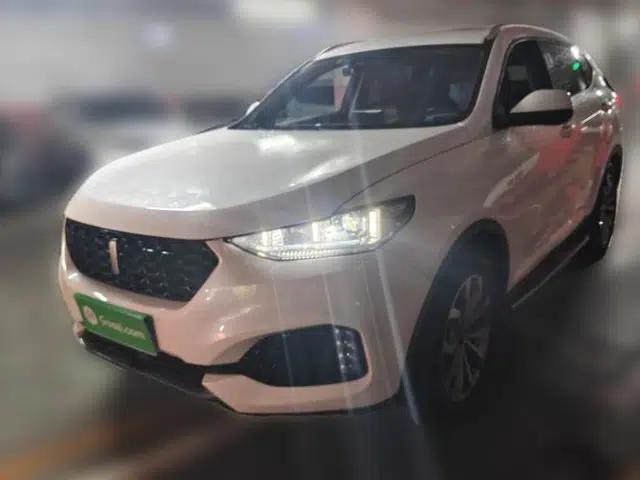 Wey VV6 2018 2.0T Two-Wheel Drive Luxury Version China V Standard