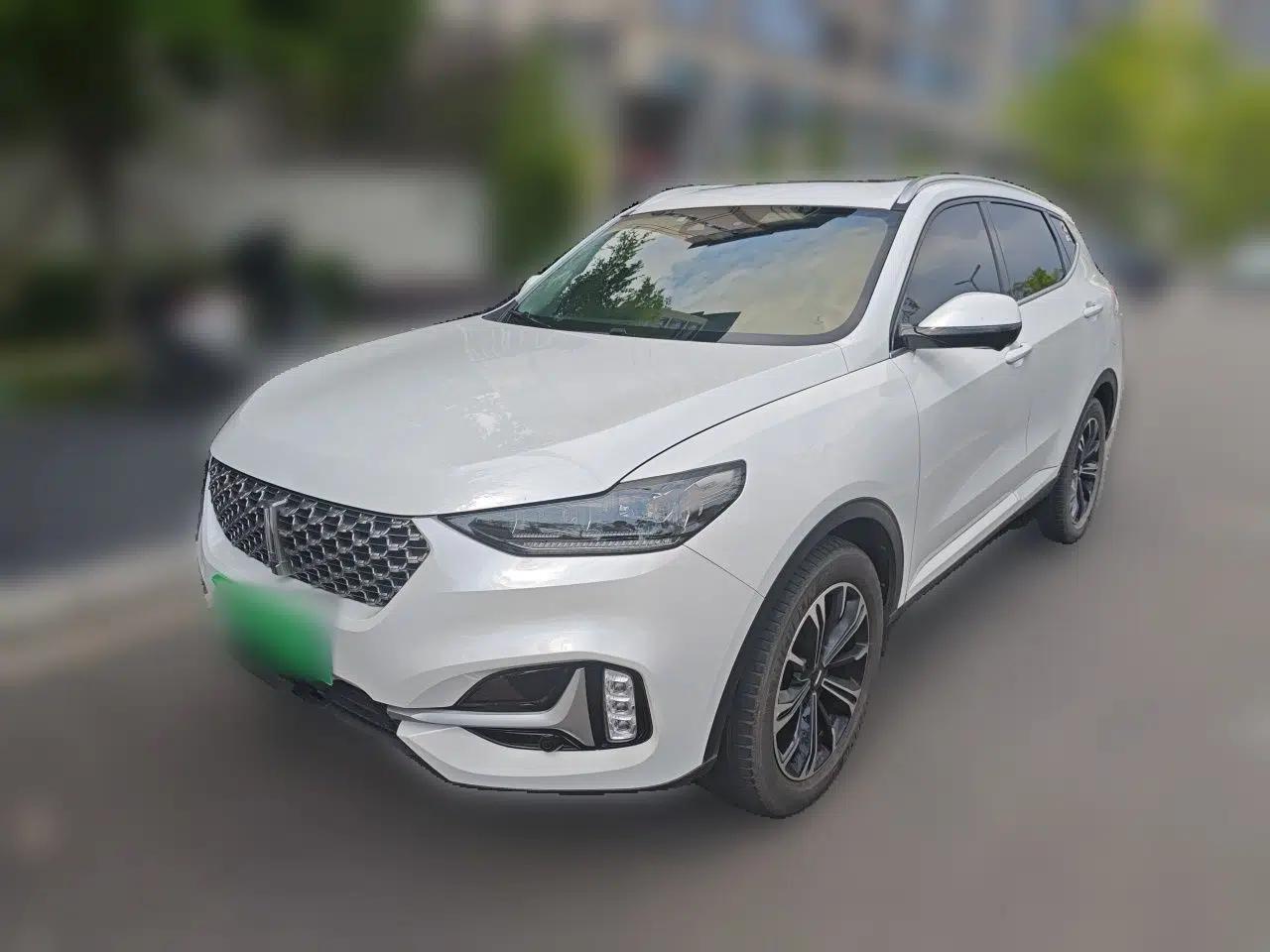 Wey VV6 2021 2.0T Two-Wheel Drive Smart Plus — миниатюра 1