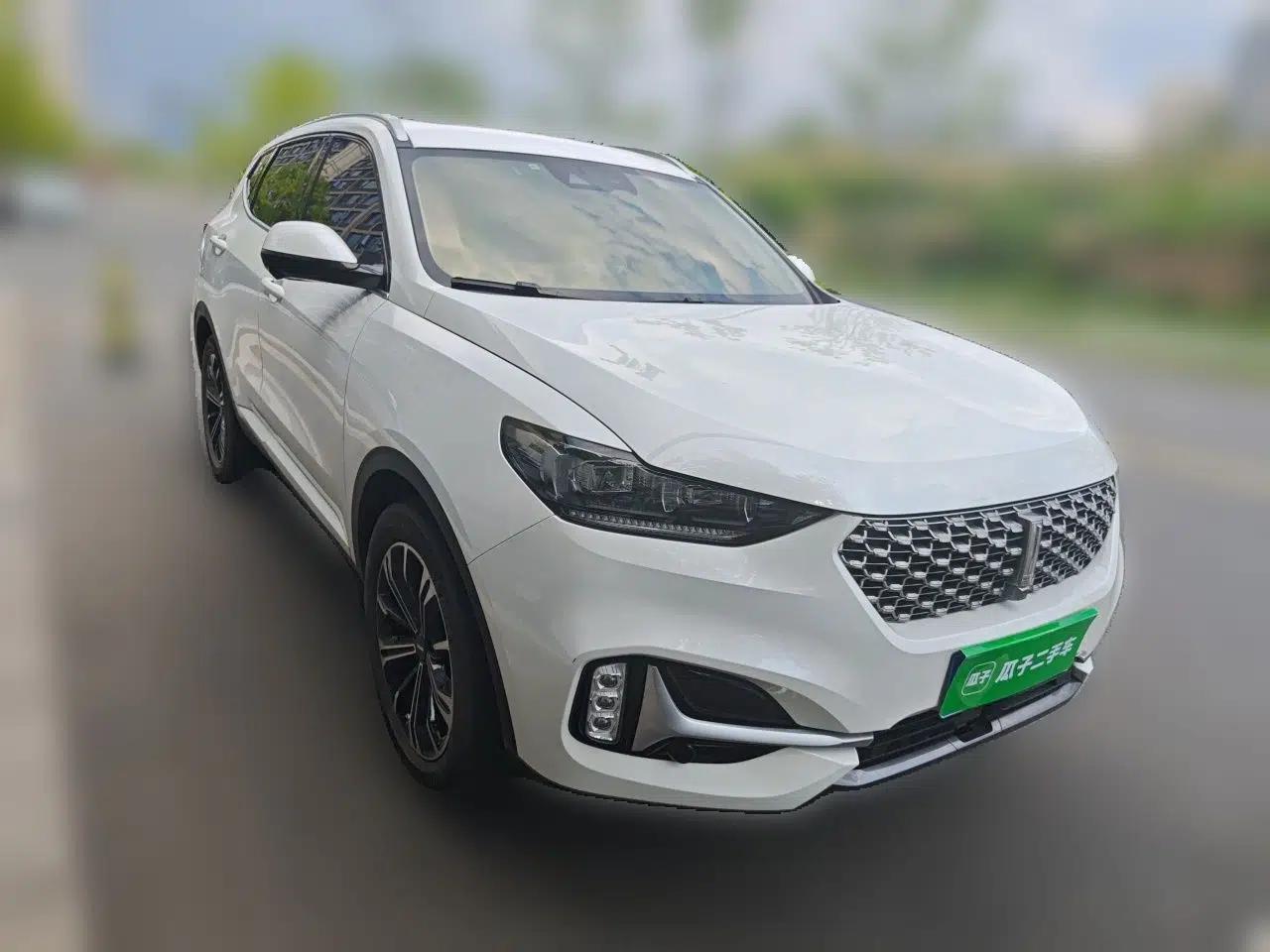 Wey VV6 2021 2.0T Two-Wheel Drive Smart Plus — миниатюра 3