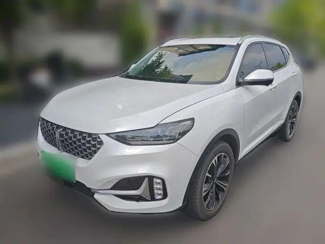 Wey VV6 2021 2.0T Two-Wheel Drive Smart Plus