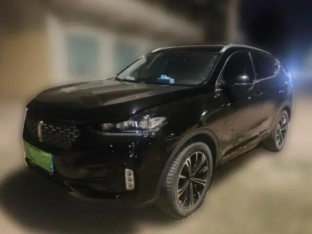 Wey VV6 2021 2.0T Two-Wheel Drive Smart Plus