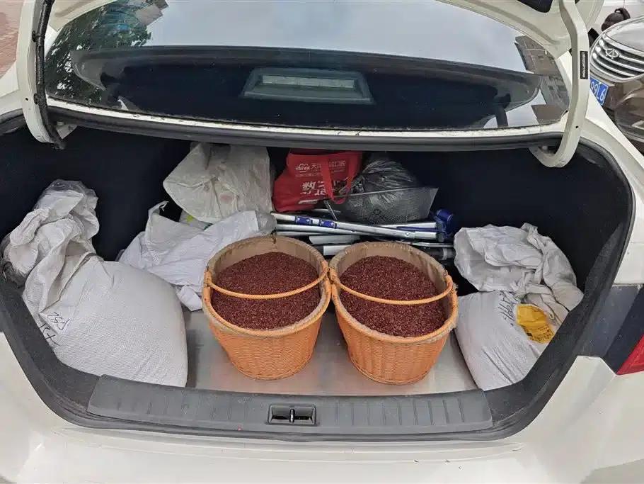 Nissan Sylphy 2022 Classic 1.6XE CVT Comfort Edition — миниатюра 4