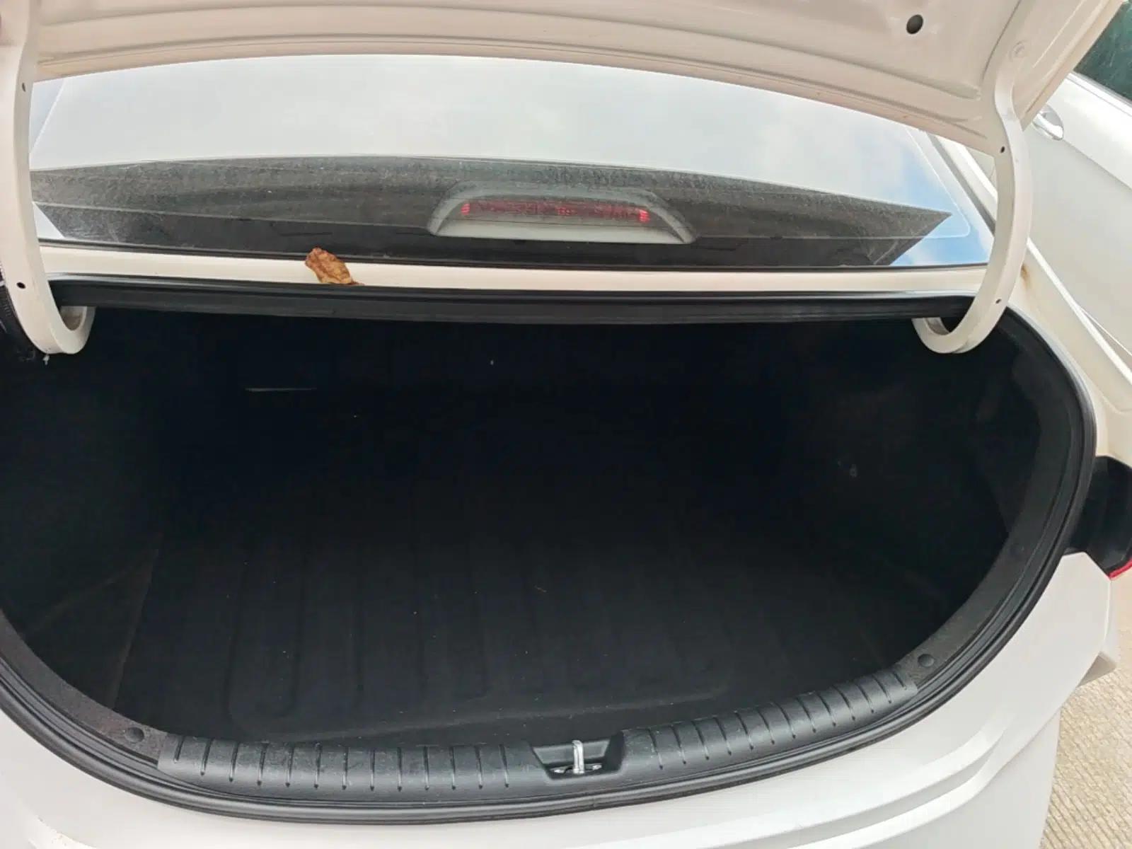 Hyundai Verna (new generation) 2020 1.4L CVT GLS Cool Edition — миниатюра 22