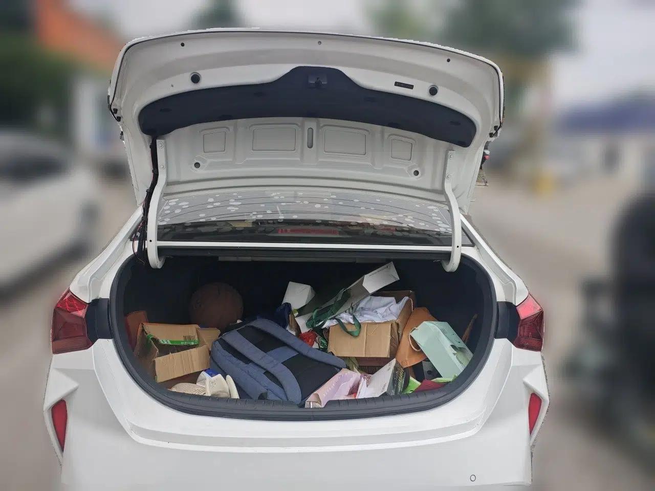 Hyundai Verna (new generation) 2020 1.4L CVT GLS Cool Edition — миниатюра 20