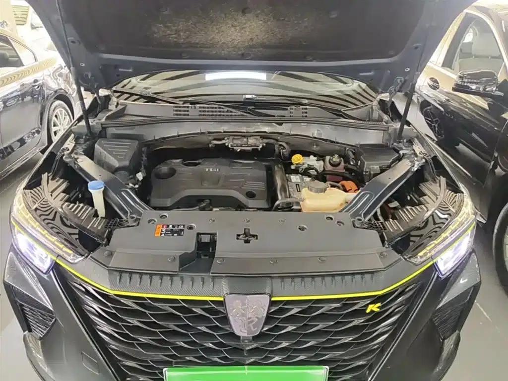 Roewe RX5 New Energy 2021 ePLUS National Trend Ronglin Luxury Edition — миниатюра 20