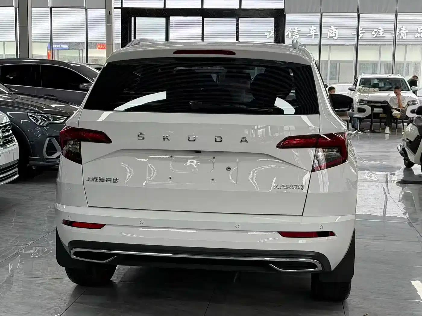 Karoq 2022 TSI280 Luxury Edition — миниатюра 11