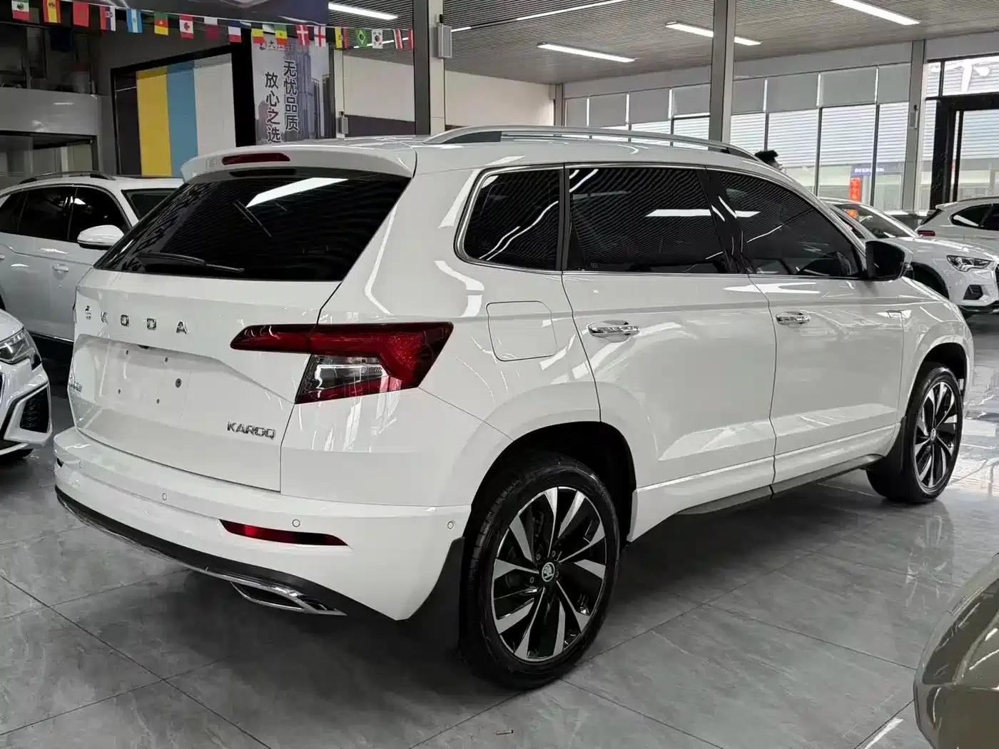 Karoq 2022 TSI280 Luxury Edition — миниатюра 12