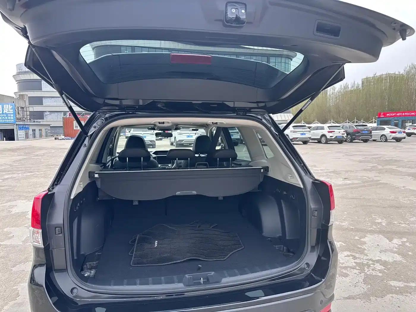Forester 2022 2.0i AWD Luxury Edition EyeSight — миниатюра 12