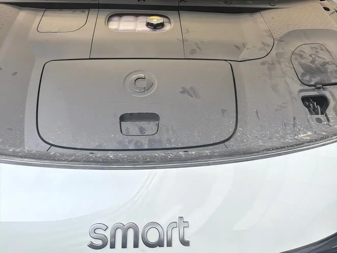 Smart Sprite #1 2024 Dynamic Standard Edition — миниатюра 24