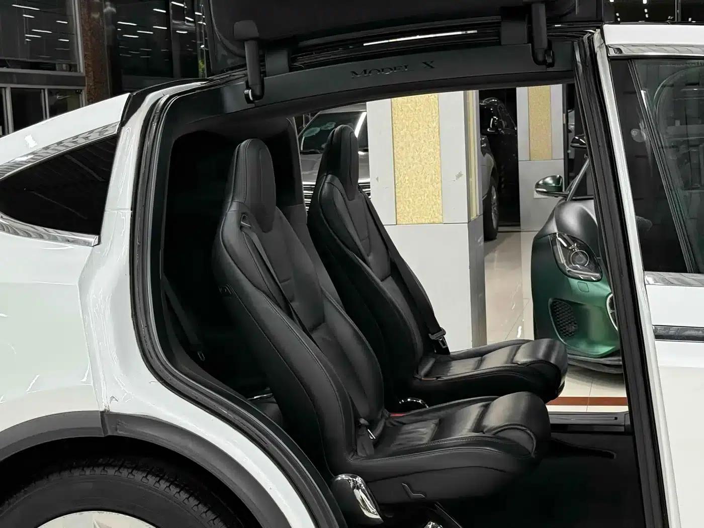 2016 Model X 75D — миниатюра 13