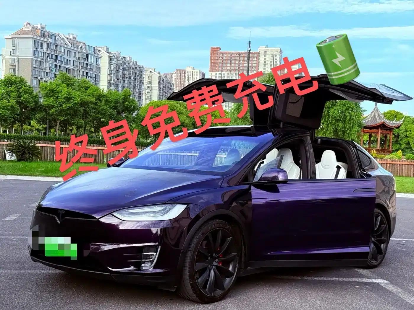 2019 Model X Performance Edition — миниатюра 1