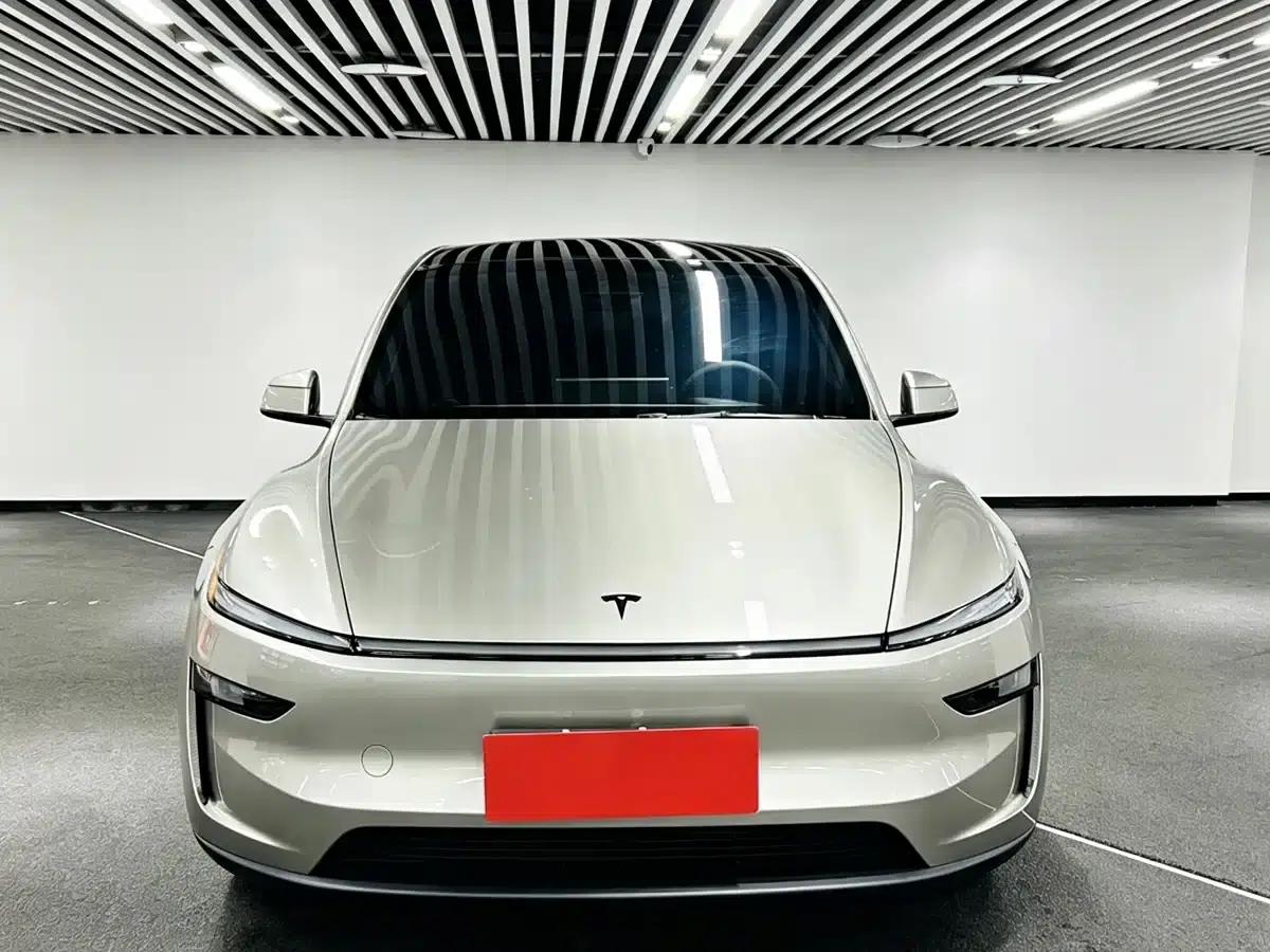 Model Y L 2025 Long Range All-Wheel Drive — миниатюра 2