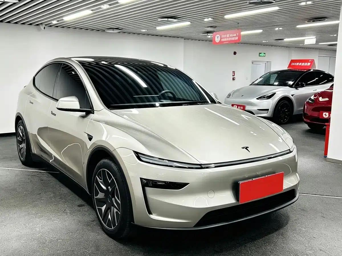 Model Y L 2025 Long Range All-Wheel Drive — миниатюра 3