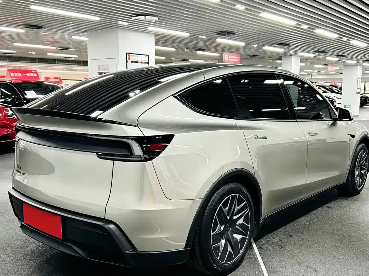 Model Y L 2025 Long Range All-Wheel Drive — миниатюра 4