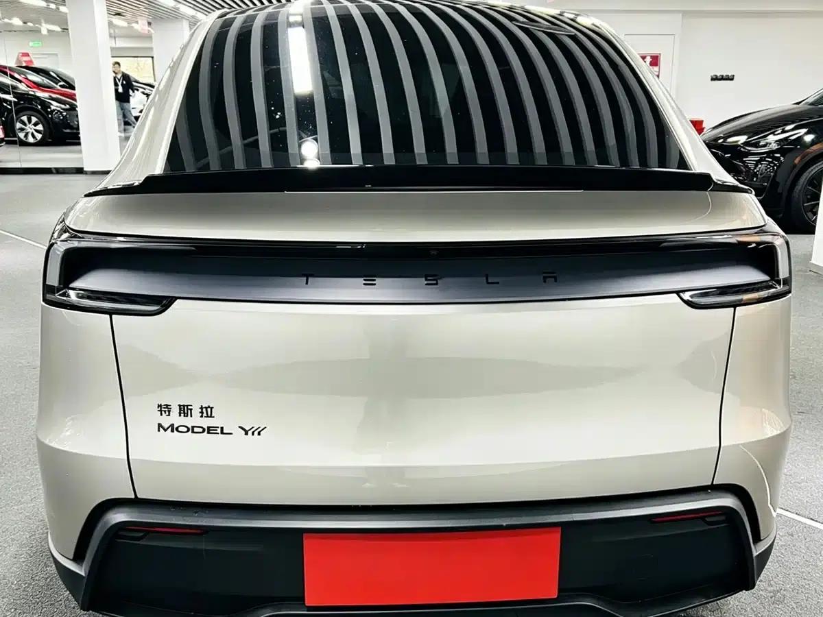Model Y L 2025 Long Range All-Wheel Drive — миниатюра 5