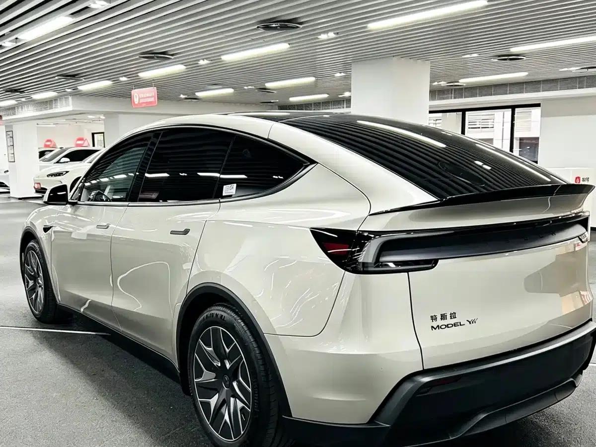 Model Y L 2025 Long Range All-Wheel Drive — миниатюра 6