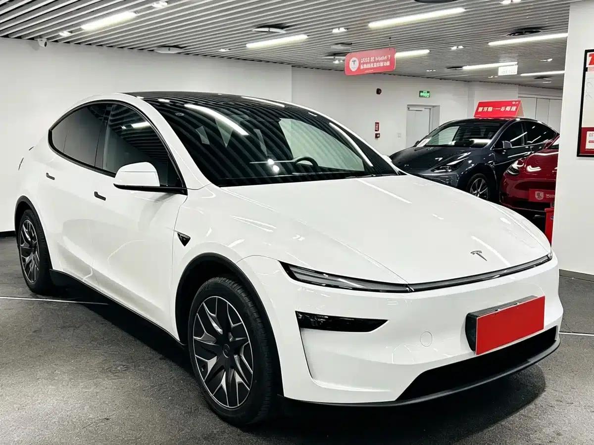 Model Y L 2025 Long Range All-Wheel Drive — миниатюра 3