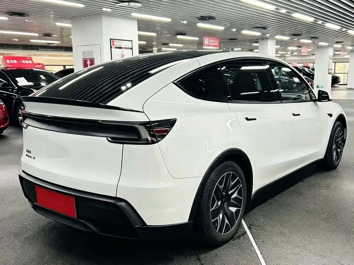 Model Y L 2025 Long Range All-Wheel Drive — миниатюра 4