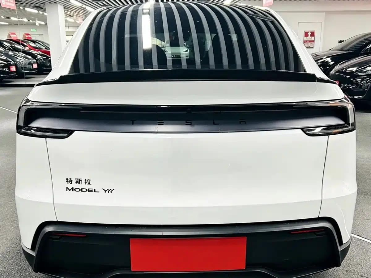Model Y L 2025 Long Range All-Wheel Drive — миниатюра 5
