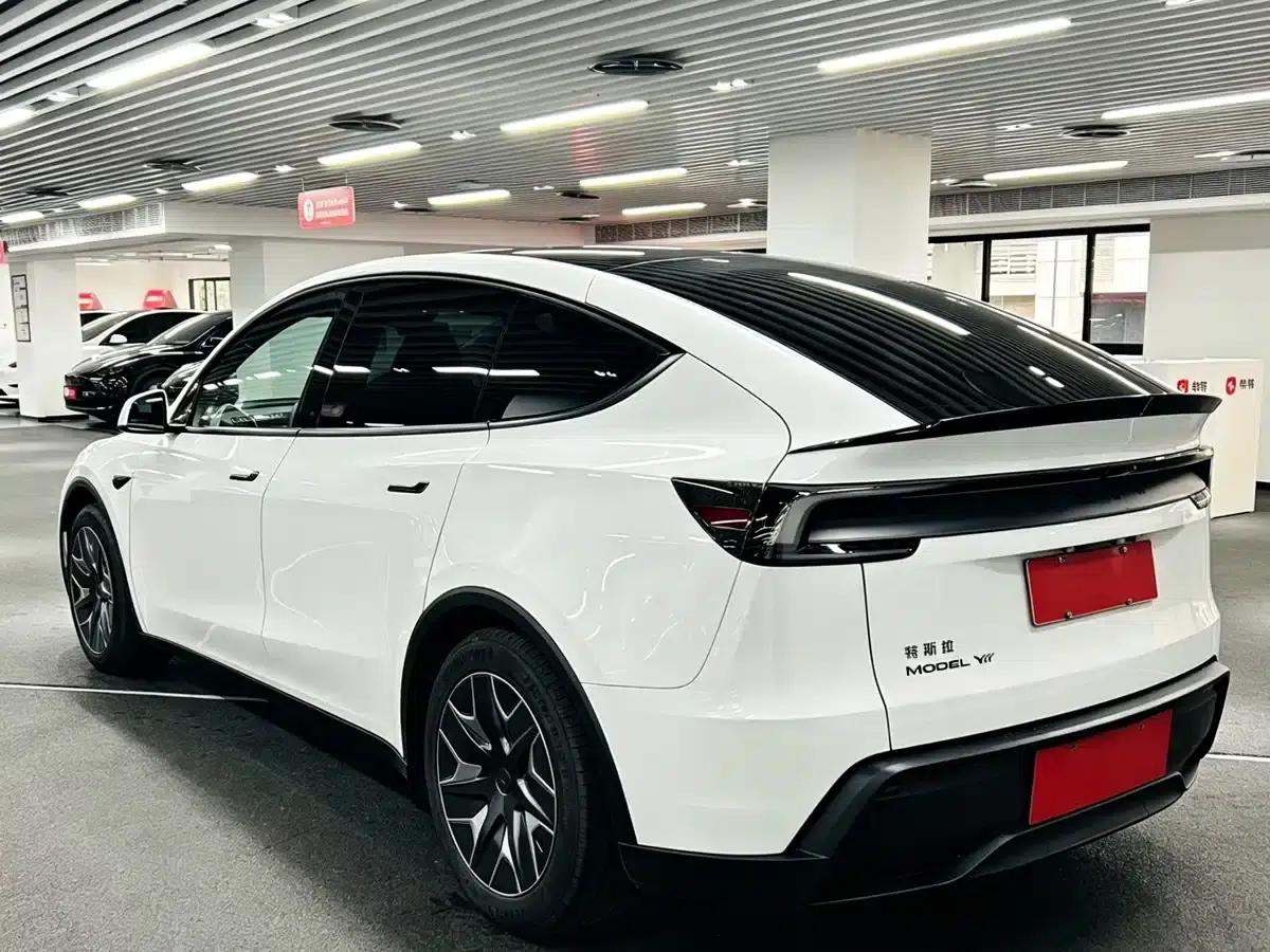Model Y L 2025 Long Range All-Wheel Drive — миниатюра 6