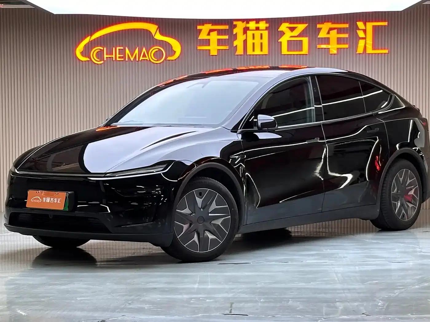Model Y L 2025 Long Range All-Wheel Drive — миниатюра 1