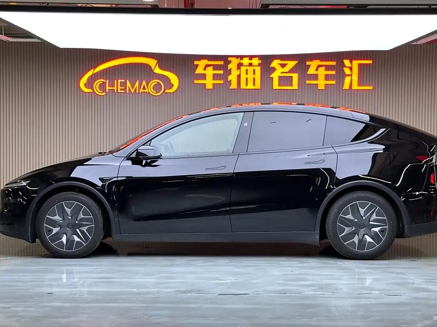 Model Y L 2025 Long Range All-Wheel Drive — миниатюра 4