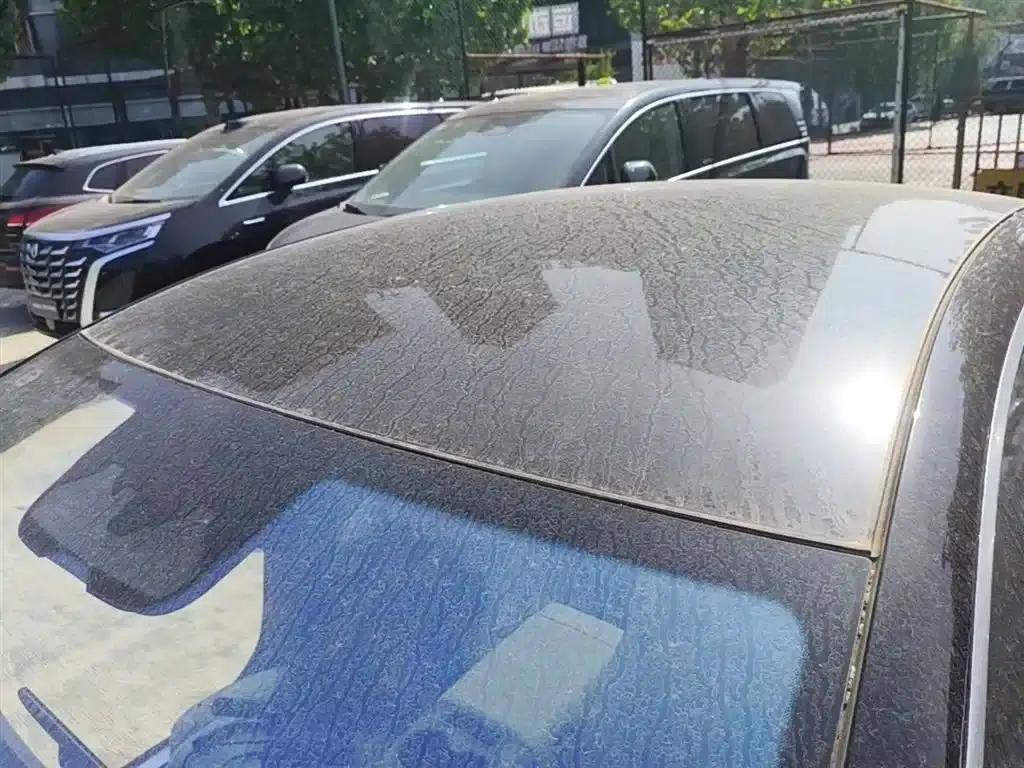 Denza Z9 2024 Model, 1100km Range, 4WD Ultra Edition — миниатюра 9