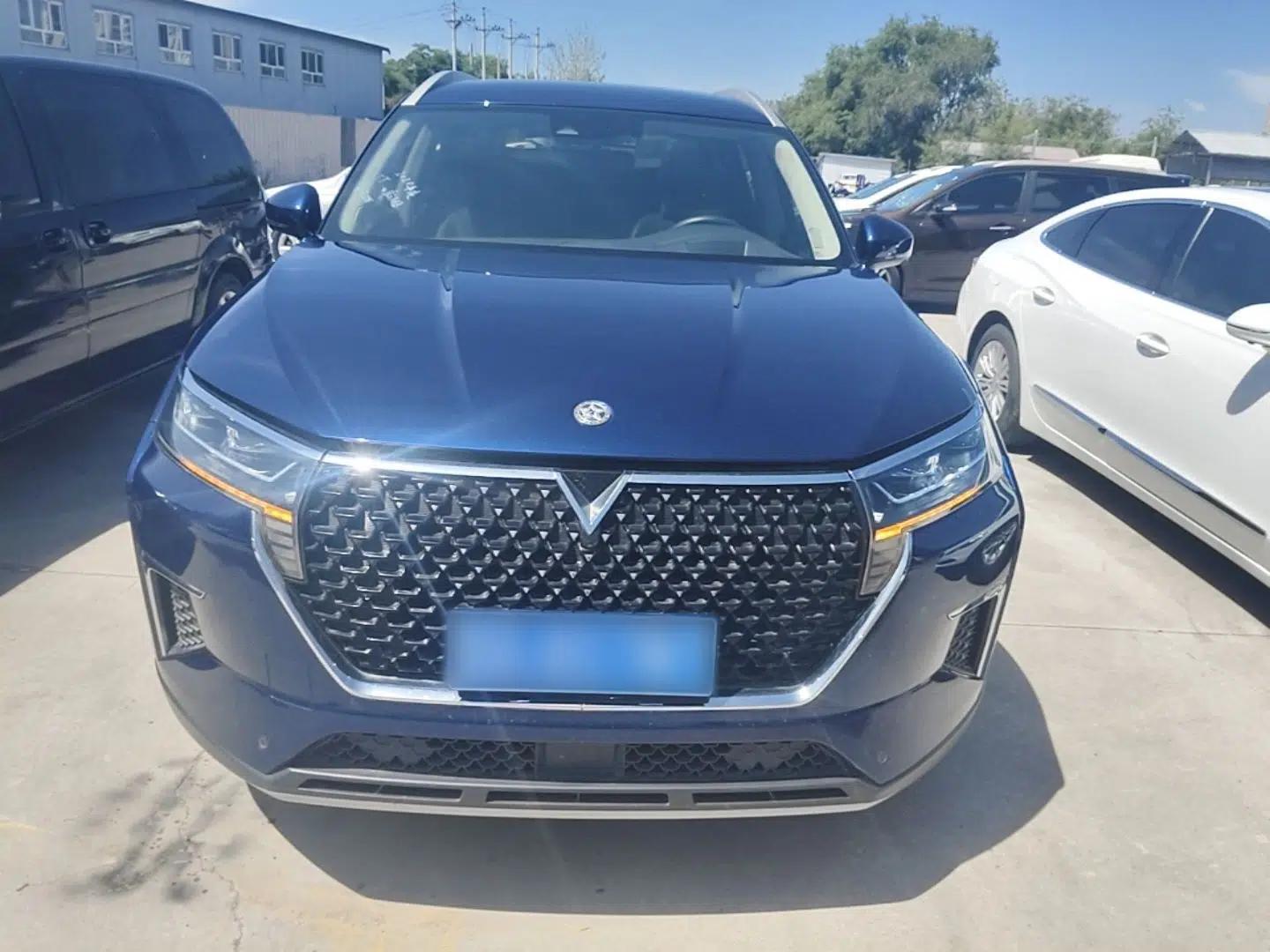Venucia Star 2020 260T Automatic 48V Mild Hybrid Turbocharged Starry Edition — миниатюра 2