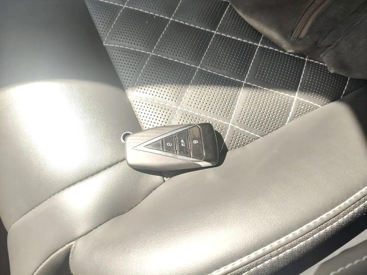 Venucia Star 2020 260T Automatic 48V Mild Hybrid Turbocharged Starry Edition — миниатюра 12