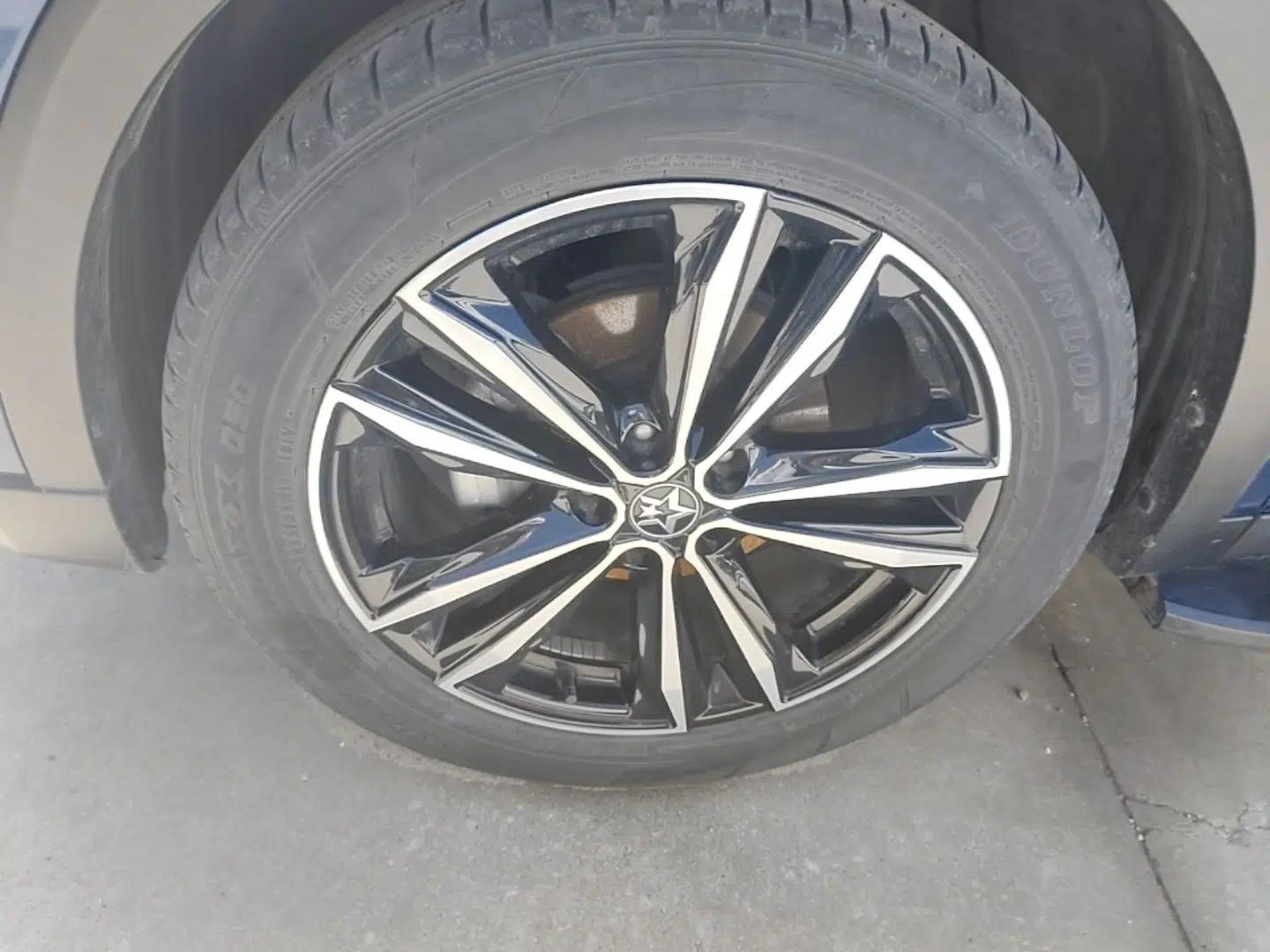 Venucia Star 2020 260T Automatic 48V Mild Hybrid Turbocharged Starry Edition — миниатюра 8