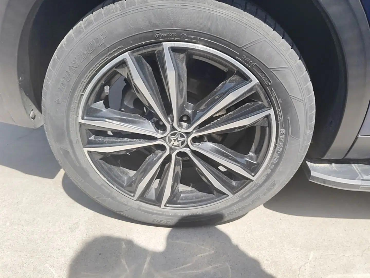 Venucia Star 2020 260T Automatic 48V Mild Hybrid Turbocharged Starry Edition — миниатюра 10
