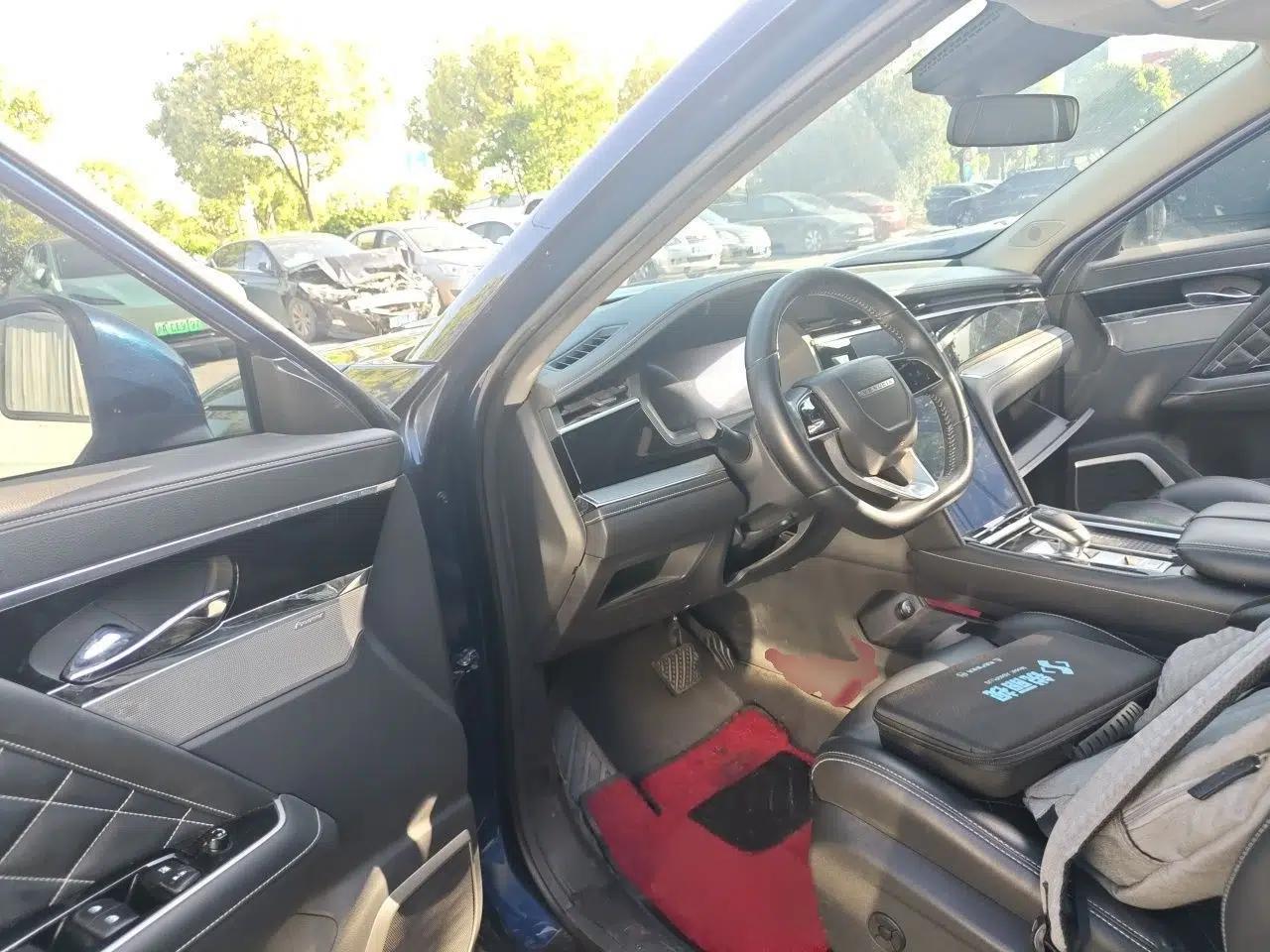 Venucia Star 2020 260T Automatic 48V Mild Hybrid Turbocharged Starry Edition — миниатюра 19