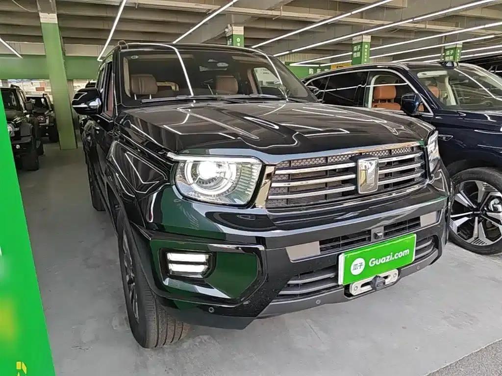 Tank 700 New Energy 2024 Hi4-T Extreme Edition — миниатюра 4