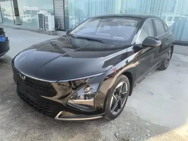 Wuling Xingguang 2024 Co-creation Edition 150 Advanced Model