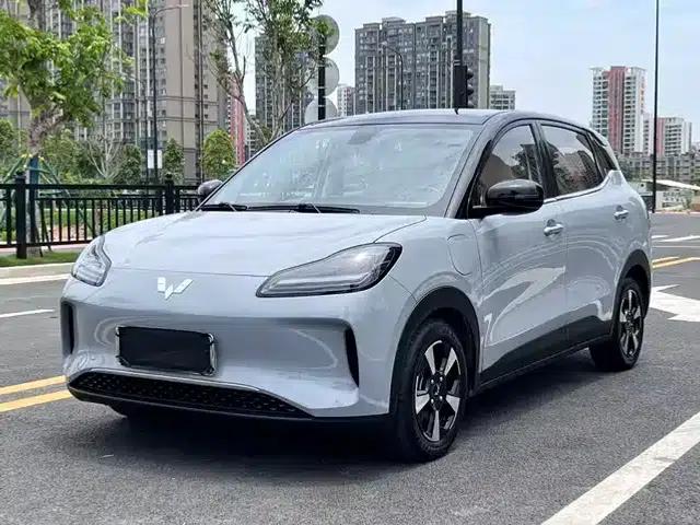 Wuling Bingo PLUS 2024 510km Flagship Edition Four-Seater