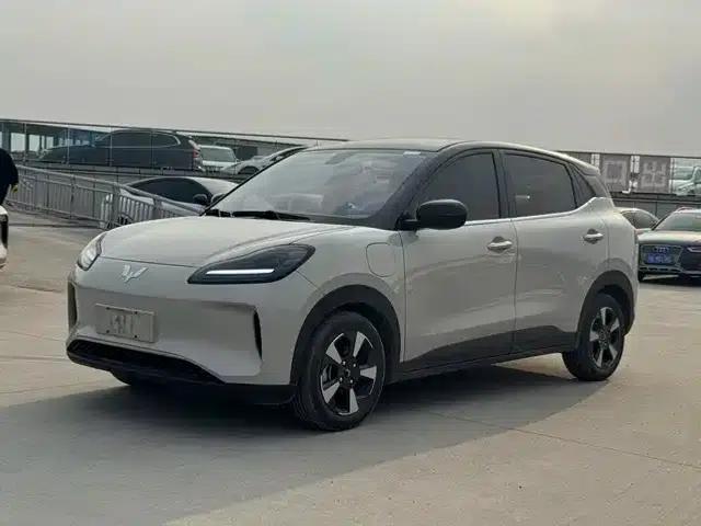 Wuling Bingo PLUS 2024 Model 330km Five-Seater