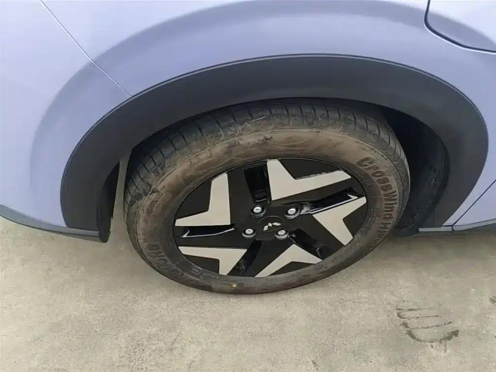 Bingo S 2025 Flagship Model 325km — миниатюра 23