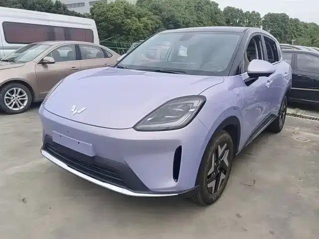 Bingo S 2025 Flagship Model 325km
