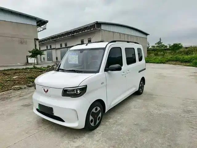 Wuling Sunshine New Energy 2025 Model 201km Standard Edition