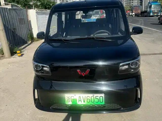Wuling Sunshine New Energy 2025 Model 201km Standard Edition